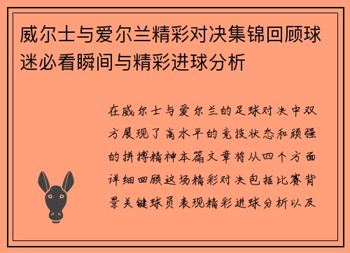 威尔士与爱尔兰精彩对决集锦回顾球迷必看瞬间与精彩进球分析